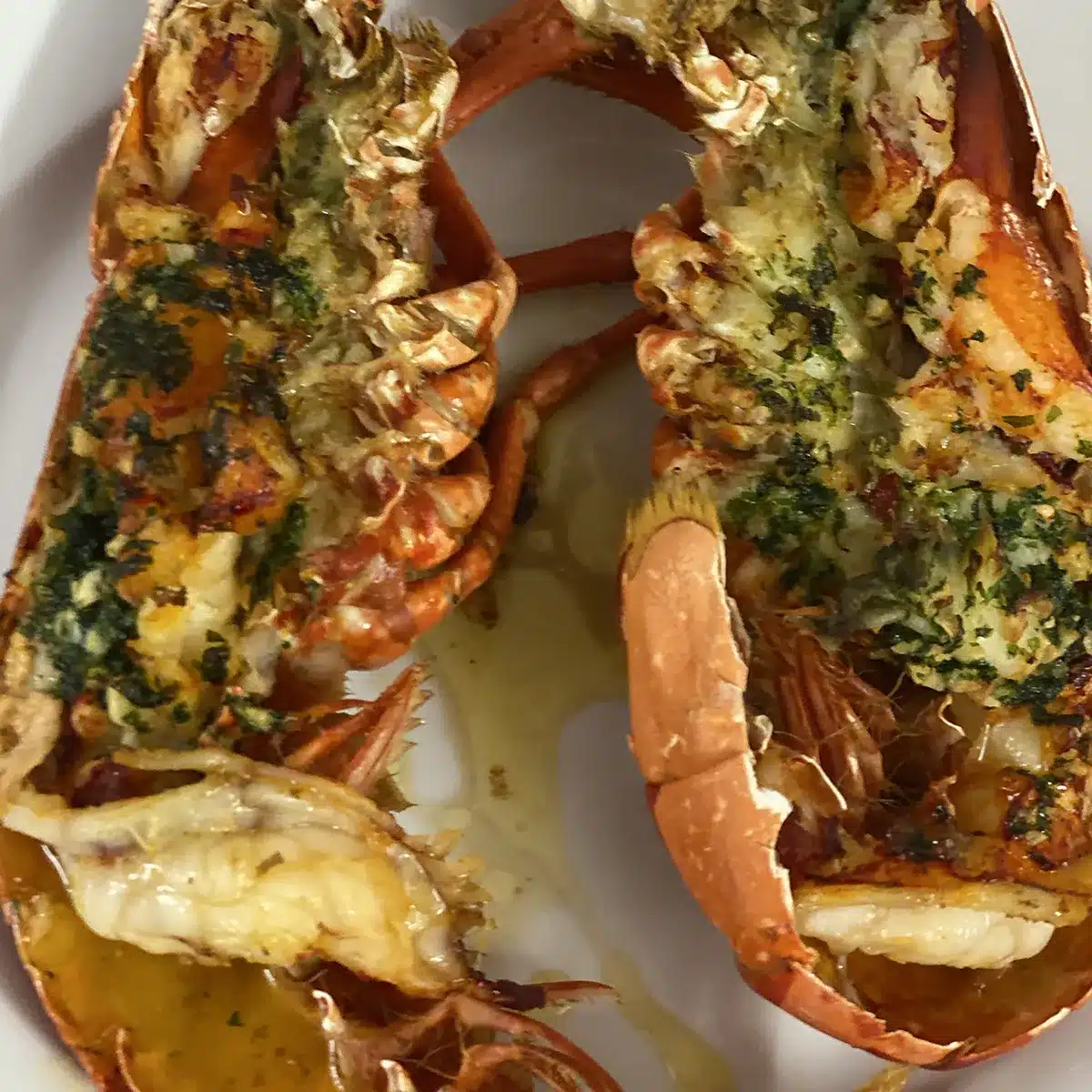 private dining catering Cornwall lobster